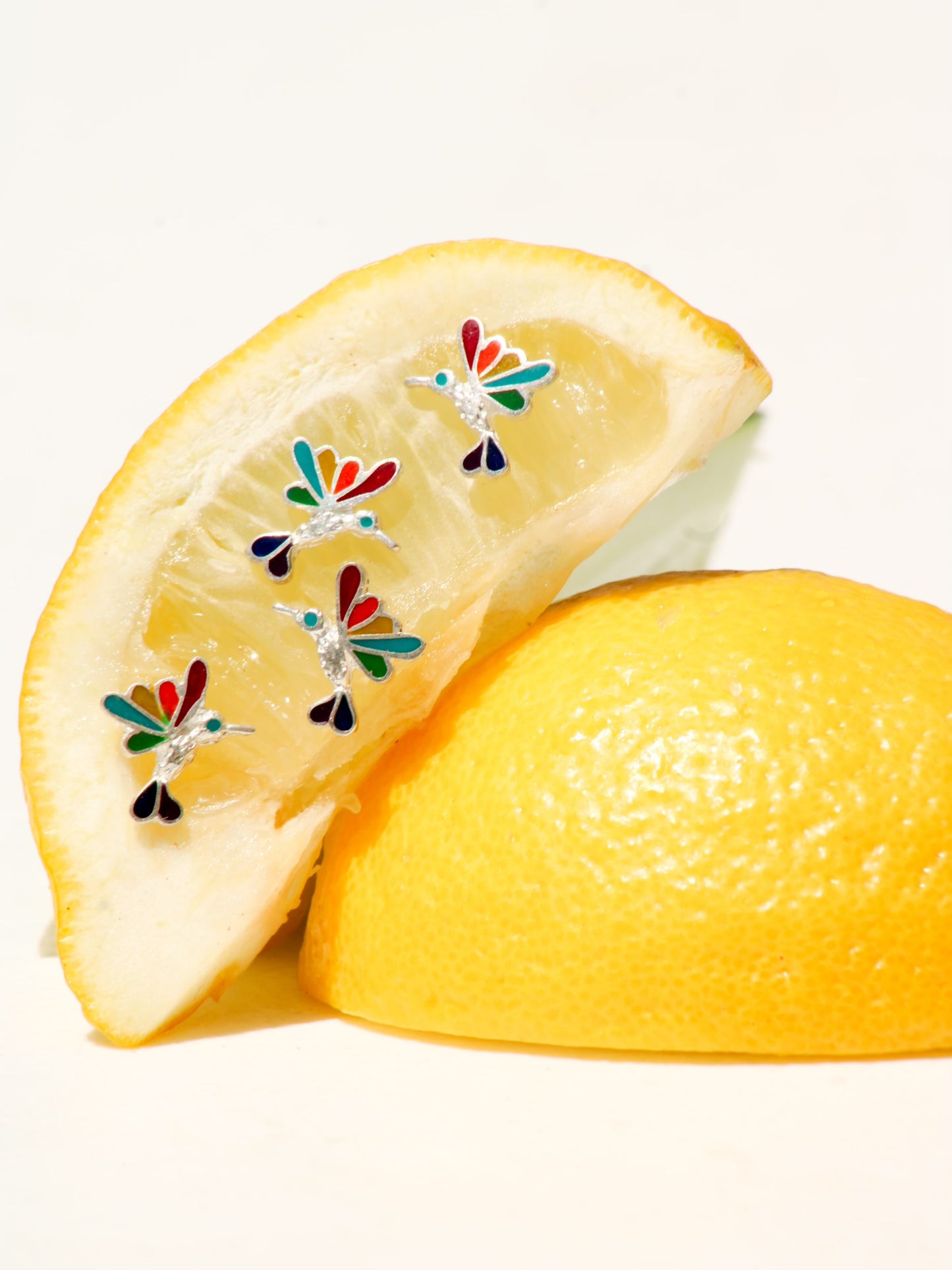 Rainbow Hummingbird Studs