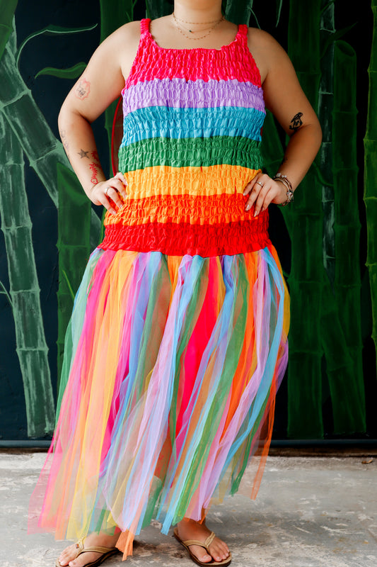 Handmade Rainbow Fairy Costume